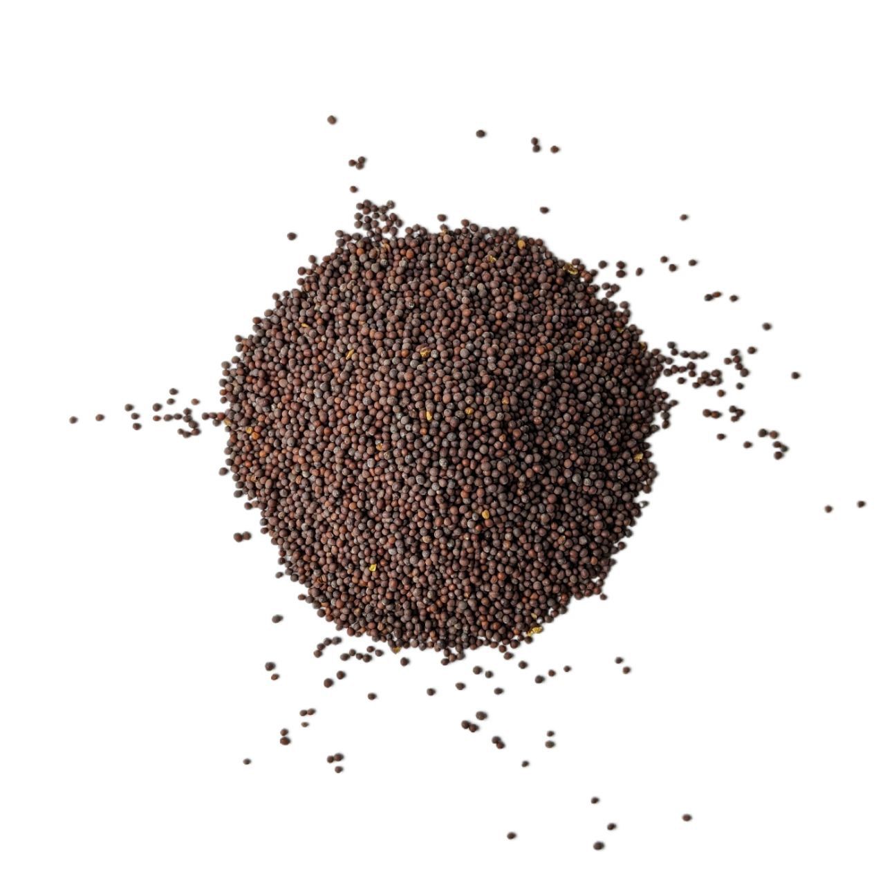 Гірчиця чорна