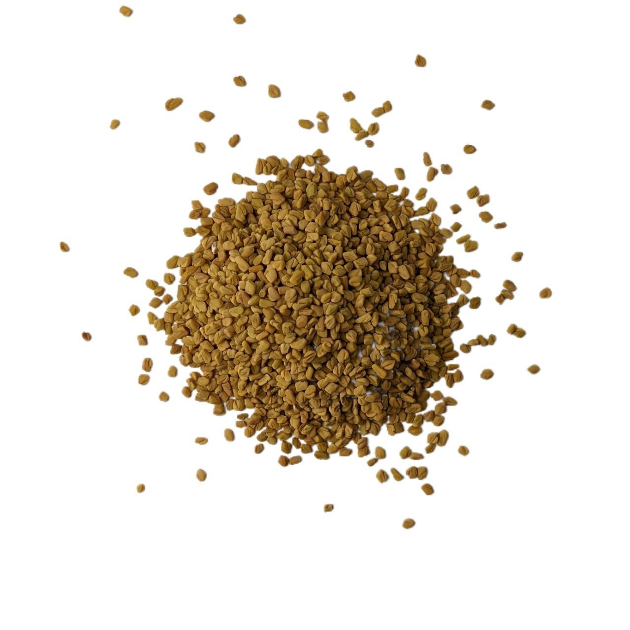 Пажитник (чаман, фенугрек)