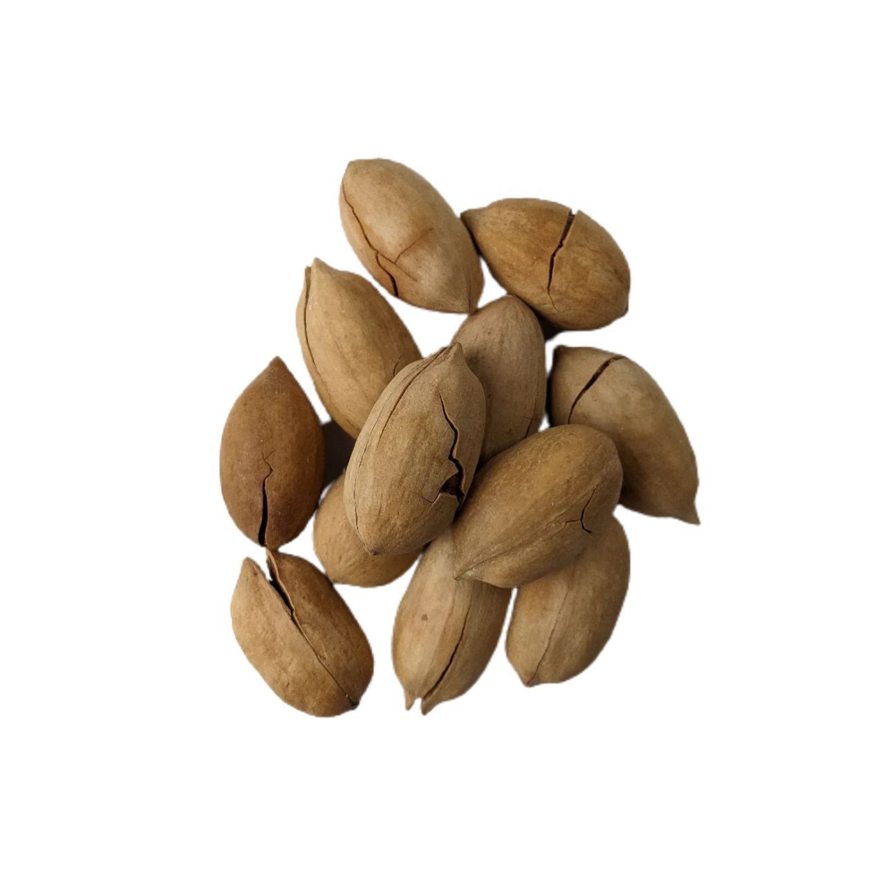 Пекан горіх у шкаралупі