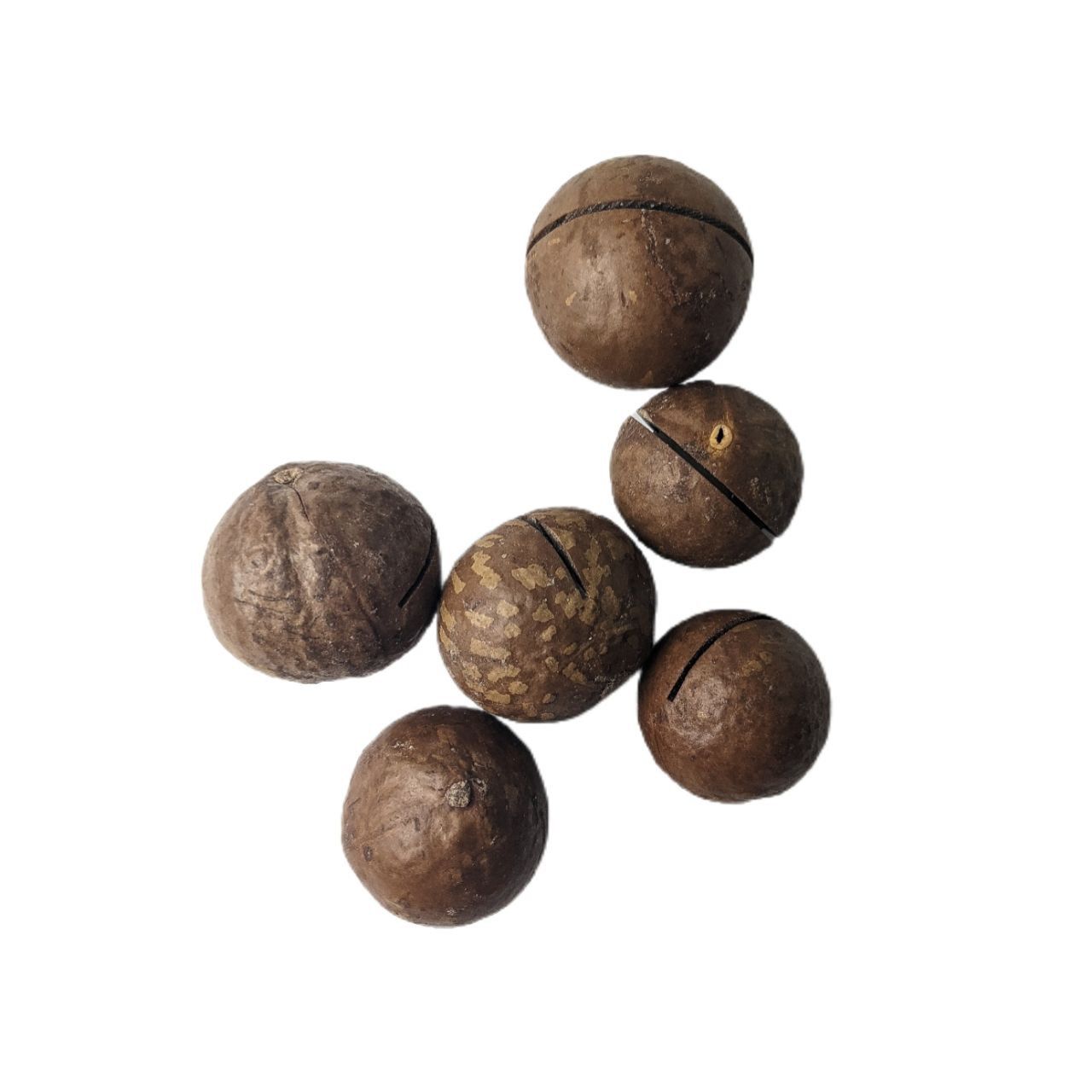 Макадамія у шкаралупі